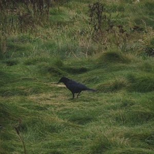 Meet your Posher, Ari